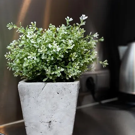 Διαμέρισμα Seven - Old Town *