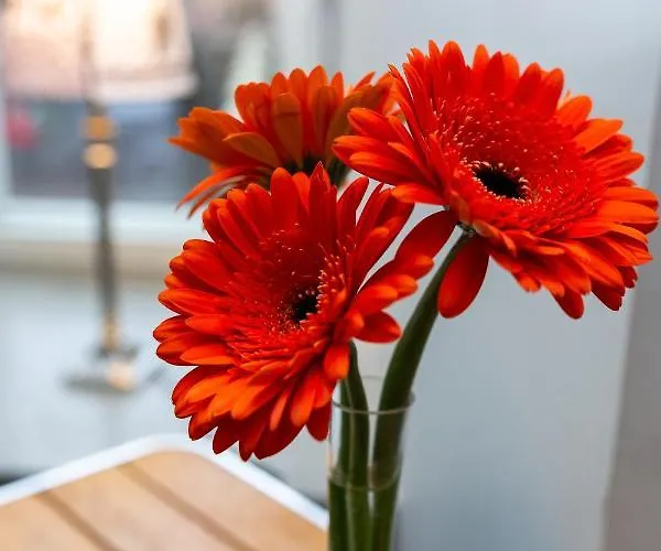 Апартаменты Seven - Old Town *