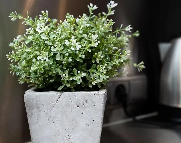 Апартаменты Seven - Old Town *